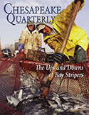 Chesapeake Quarterly cover